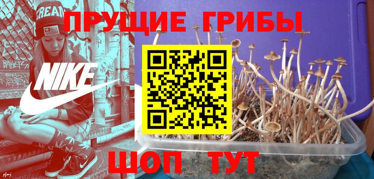 Псилоцибиновые грибы мицелий  где купить наркоту  Краснокаменск  Вход с VPN  Галлюциногенные грибы MAGIC MUSHROOMS 