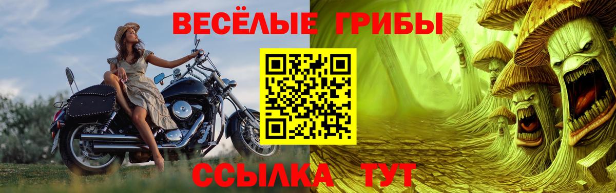 Псилоцибиновые грибы GOLDEN TEACHER Краснокаменск